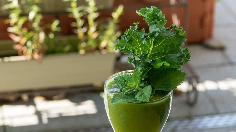 Health Benefits of Kale Juice